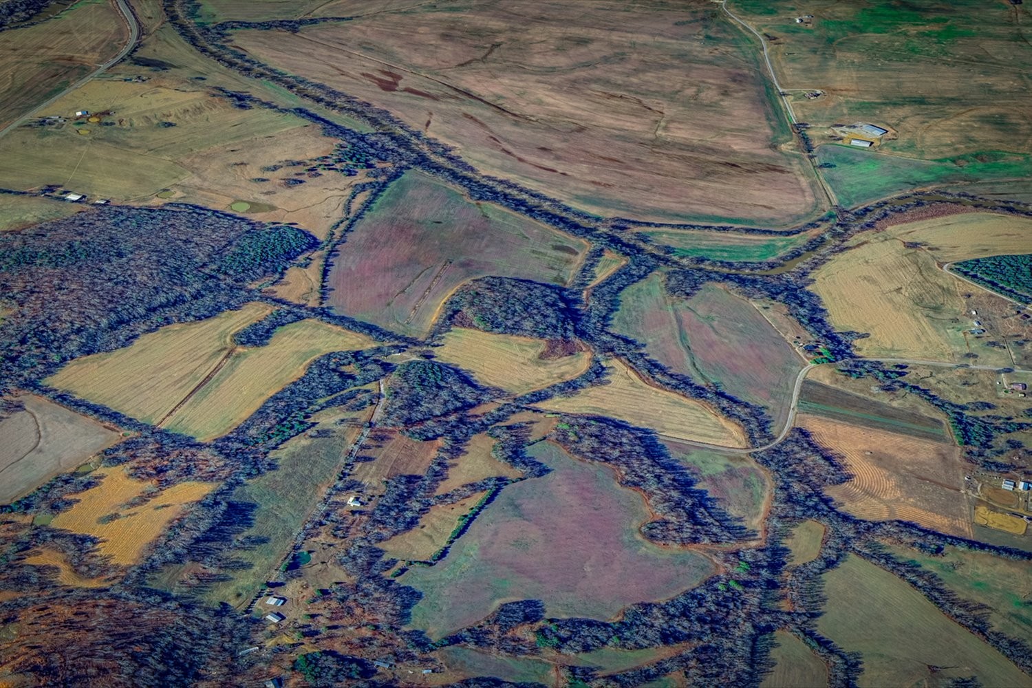 1893 Briar Patch Road Prospect, TN 38477 - Photo 36 of 43 a view of a backyard of a house