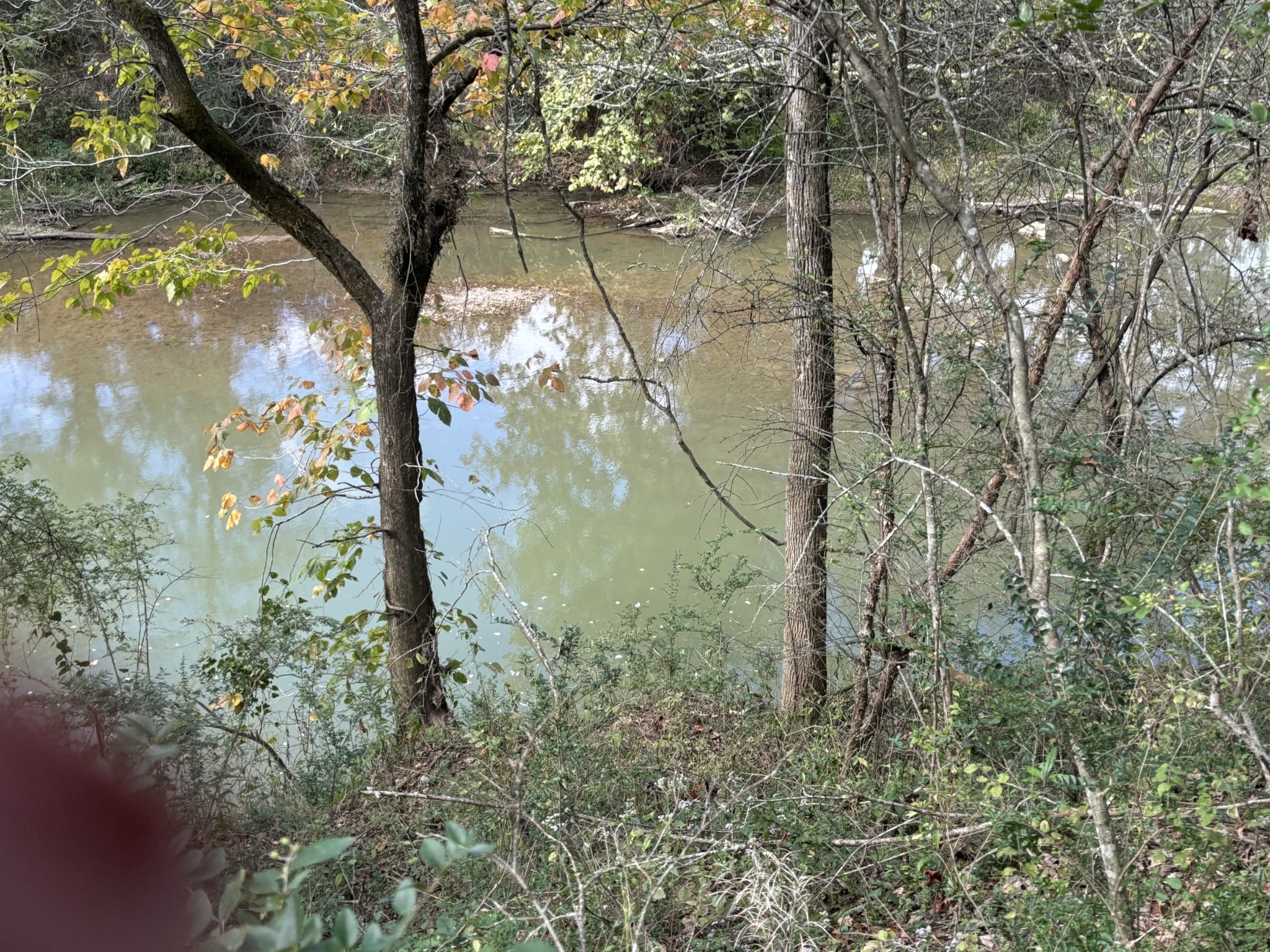 1893 Briar Patch Road Prospect, TN 38477 - Photo 38 of 43 a backyard of a house with lots of green space