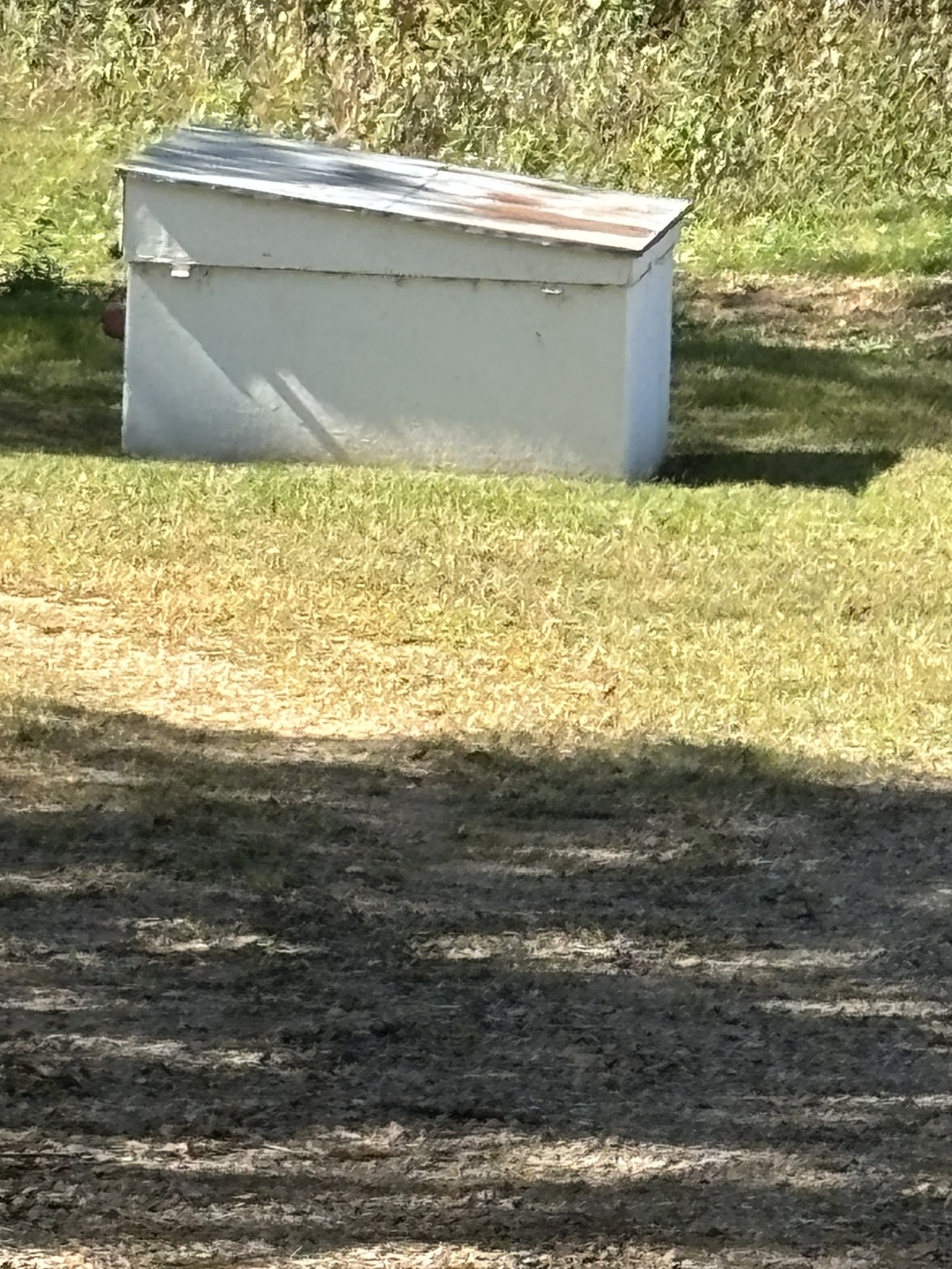 1893 Briar Patch Road Prospect, TN 38477 - Photo 4 of 43 a view of ocean