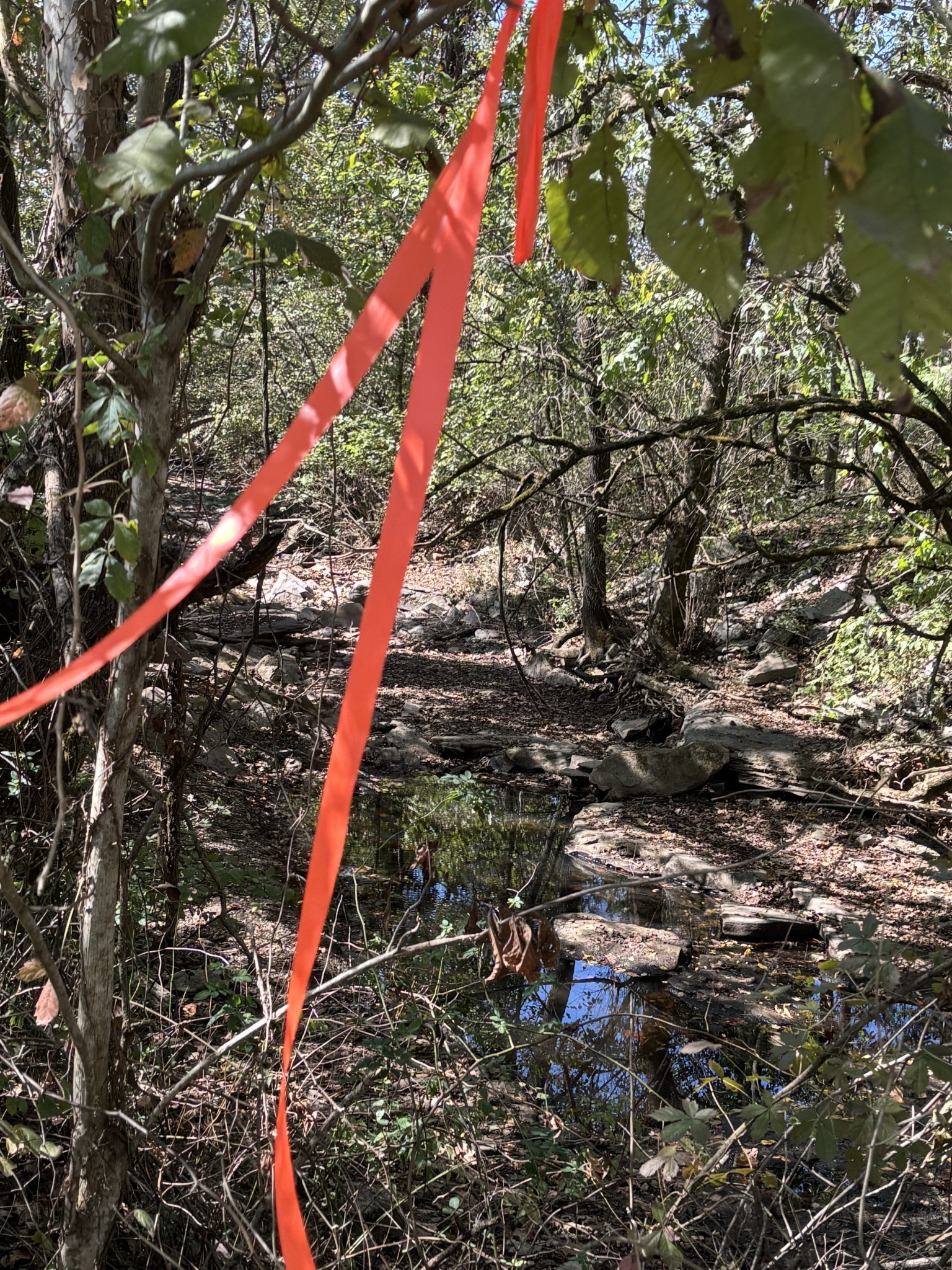 1893 Briar Patch Road Prospect, TN 38477 - Photo 42 of 43