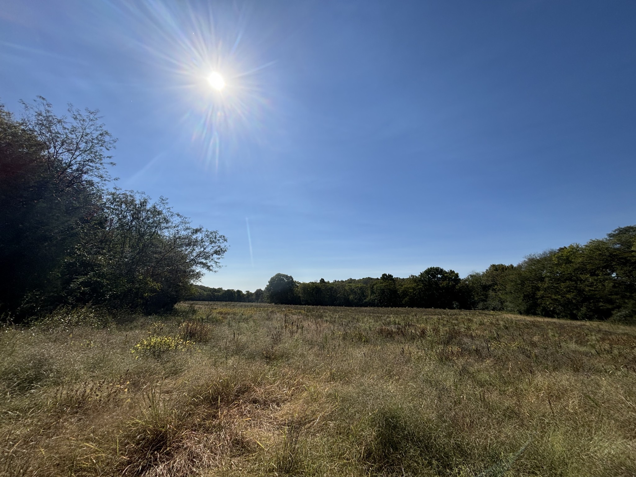 1893 Briar Patch Road Prospect, TN 38477 - Photo 5 of 43 a view of lake and mountain view