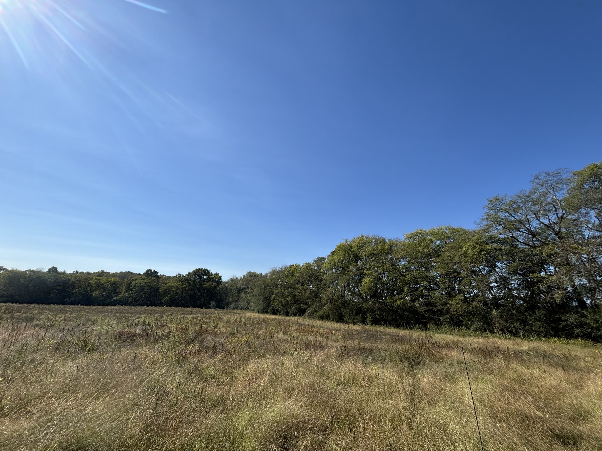 1893 Briar Patch Road Prospect, TN 38477 - Photo 6 of 43 a view of a field