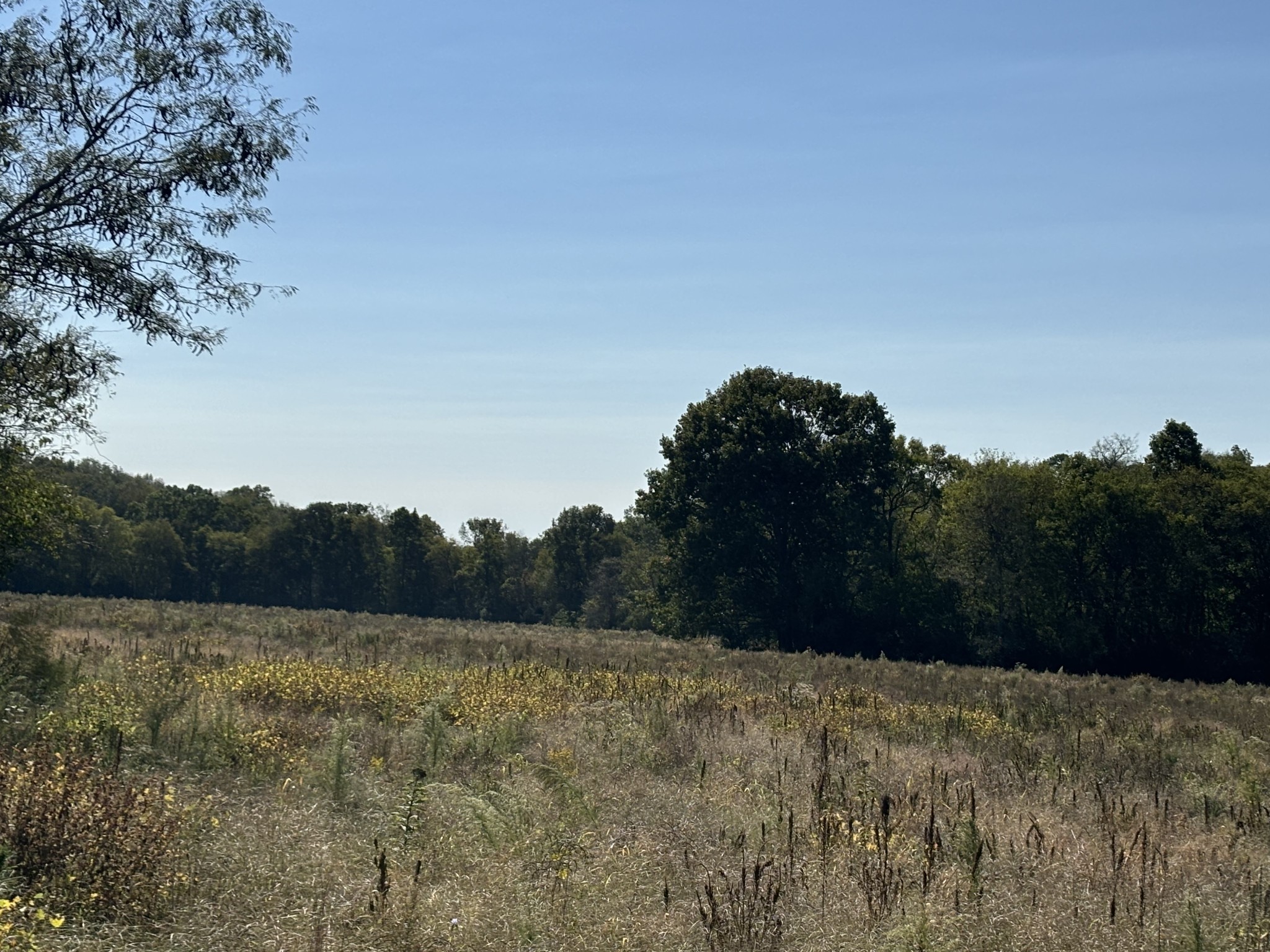 1893 Briar Patch Road Prospect, TN 38477 - Photo 7 of 43 a view of a field