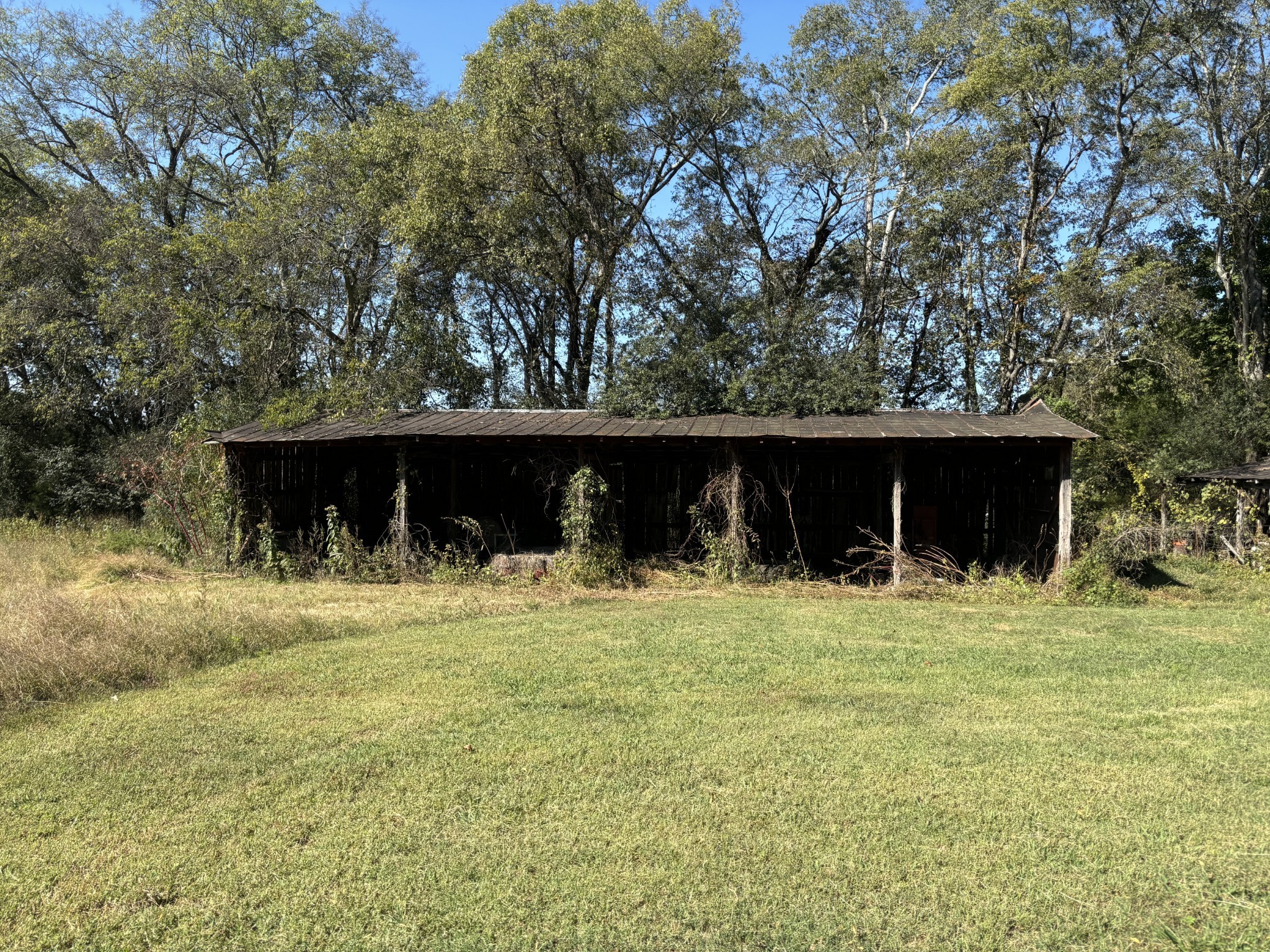 1893 Briar Patch Road Prospect, TN 38477 - Photo 8 of 43 a view of a yard