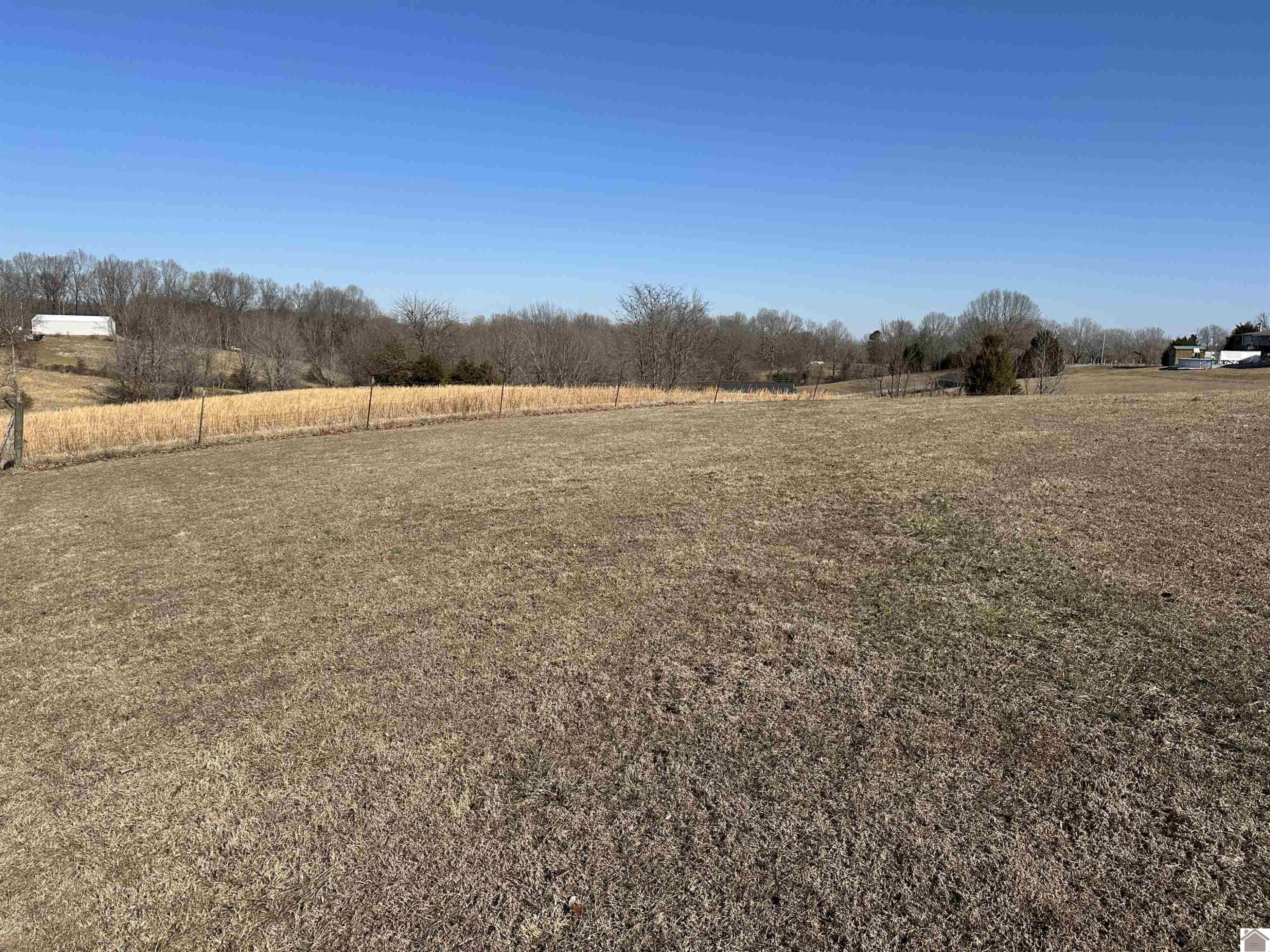 731 Jake Dukes Road Grand Rivers, KY 42045 - Photo 6 of 34 Photo 6