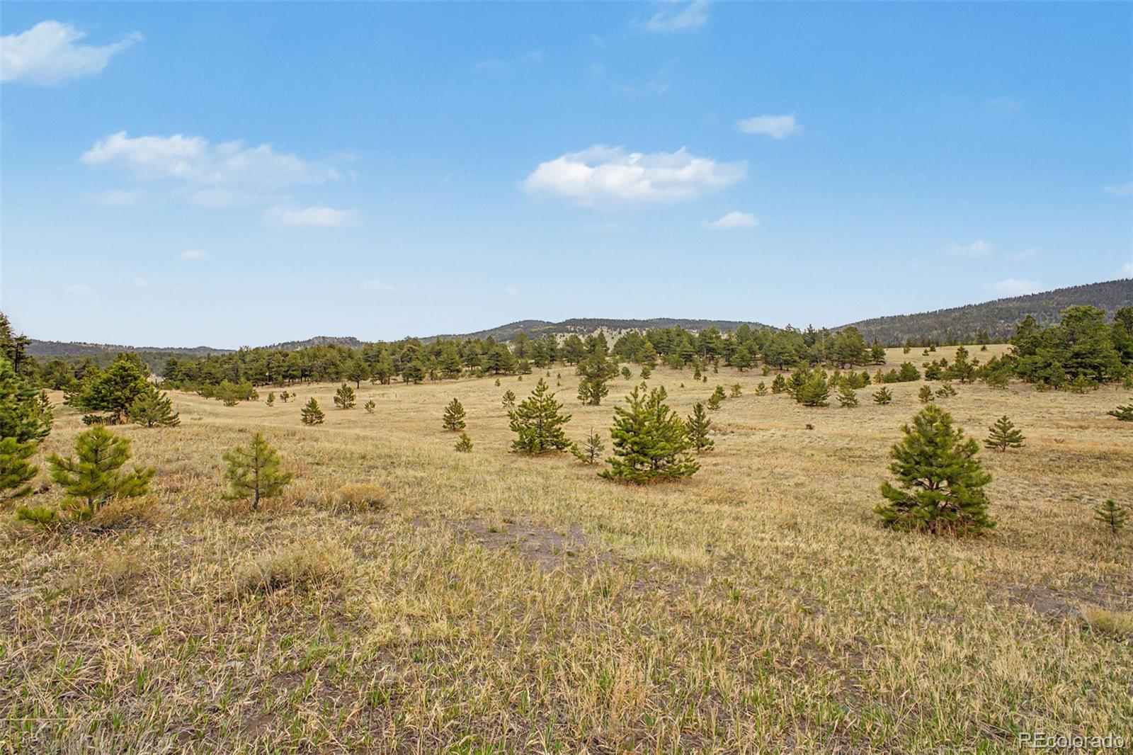 0 Ranger Station Road Florissant, CO 80816 - Photo 19 of 38 Gallery Image 19