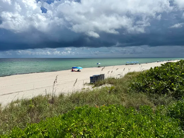 a view of a big yard with an trees and fence