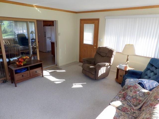 15325 Wick Road Allen Park, MI 48101 - Photo 27 of 45 BERBER CARPET & FIBERGLASS DOOR WITH BUILT-IN MINI BLINDS + LEADED GLASS ACCENTS!