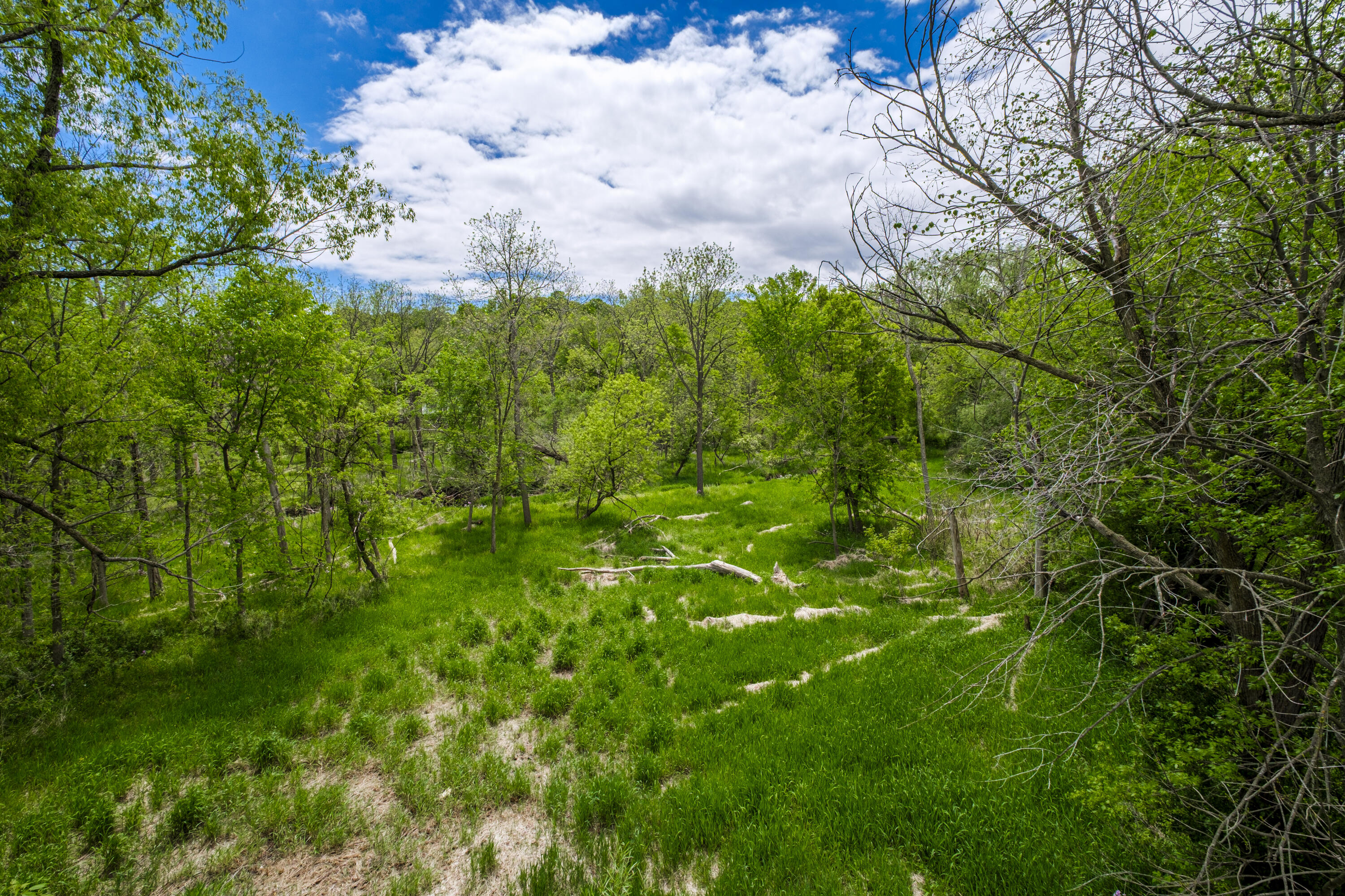 15035 Pomona Road Brookfield, WI 53005 - Photo 50 of 53 Conservancy behind home