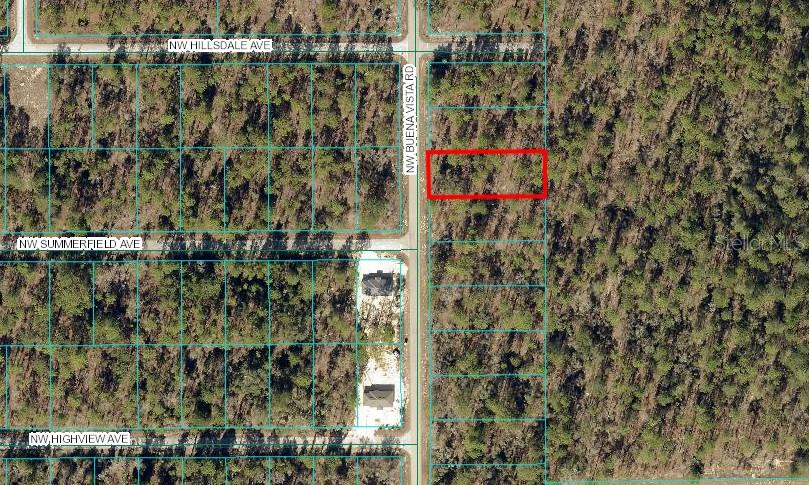 0 Southwest Buena Vista Road, Unit 3 Dunnellon, FL 34431 - Photo 1 of 1 Gallery Image 1
