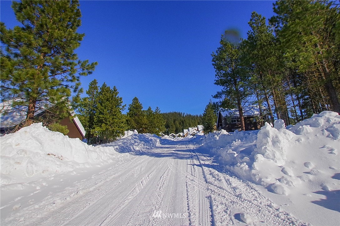 21 Paintbrush Lane Ronald, WA 98940 - Photo 26 of 27 a view of a backyard of the house