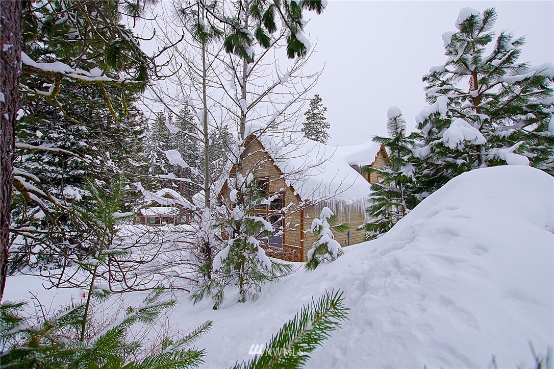 21 Paintbrush Lane Ronald, WA 98940 - Photo 27 of 27 a view of a yard with plants and trees