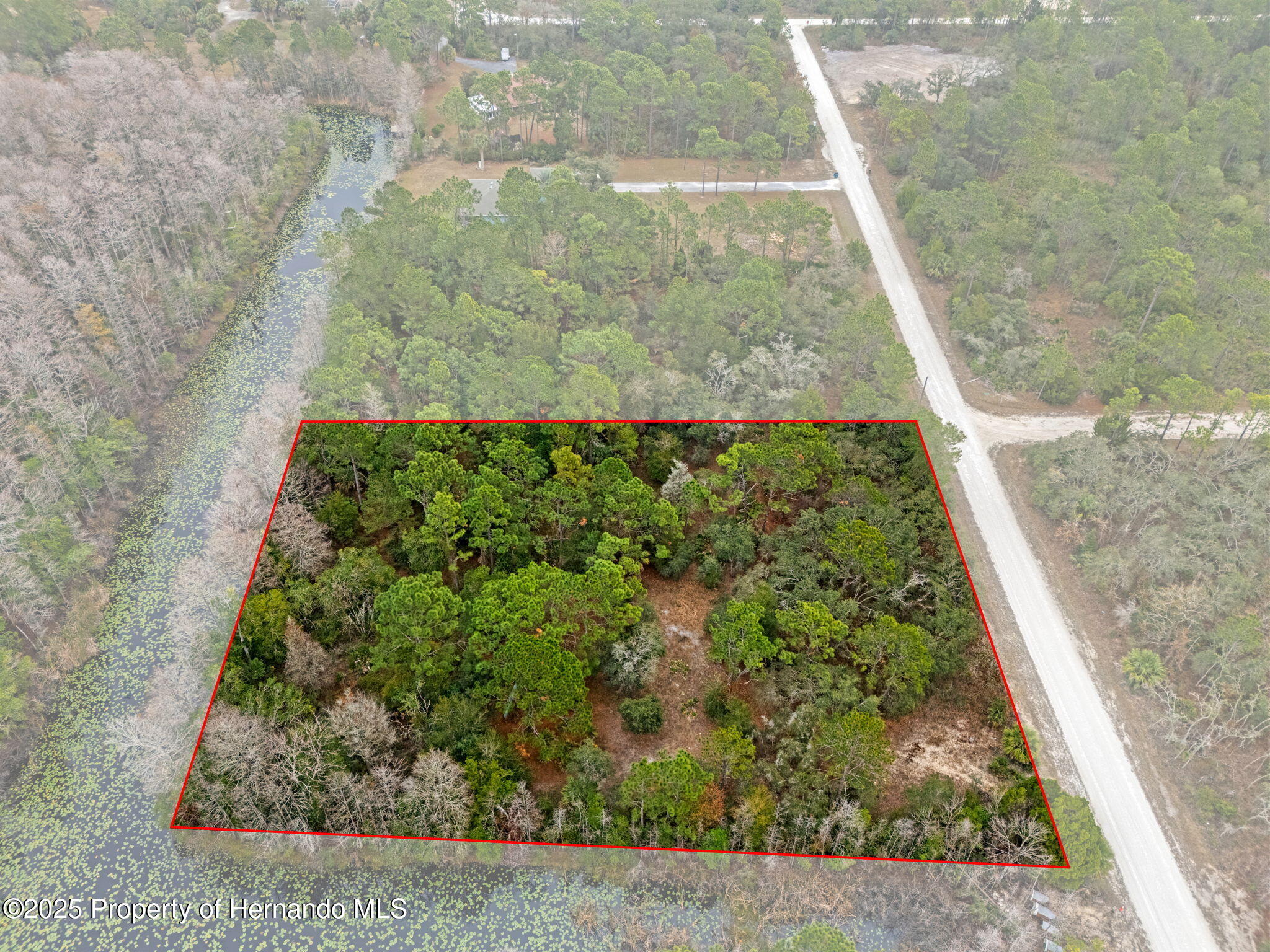 0 Yellowback Road Weeki Wachee, FL 34614 - Photo 7 of 14