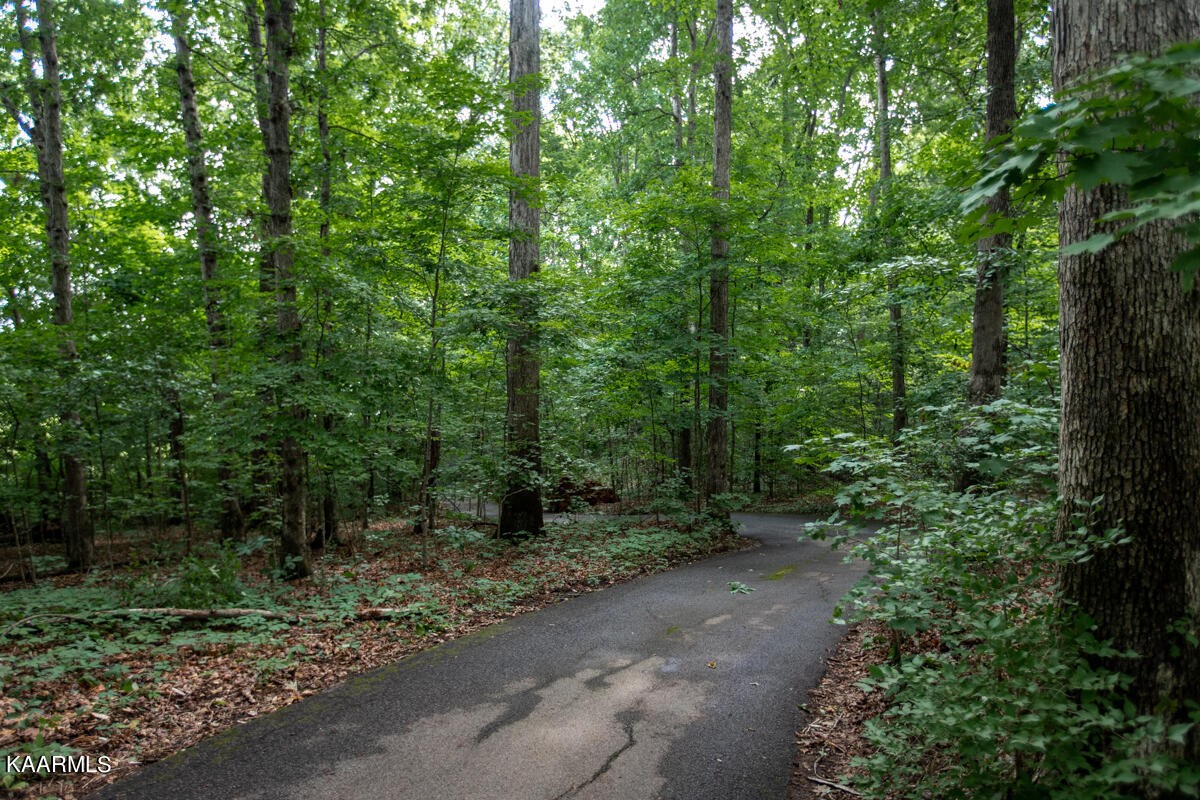 1802 Raulston Road Maryville, TN 37803 - Photo 8 of 59 Gallery Image 8