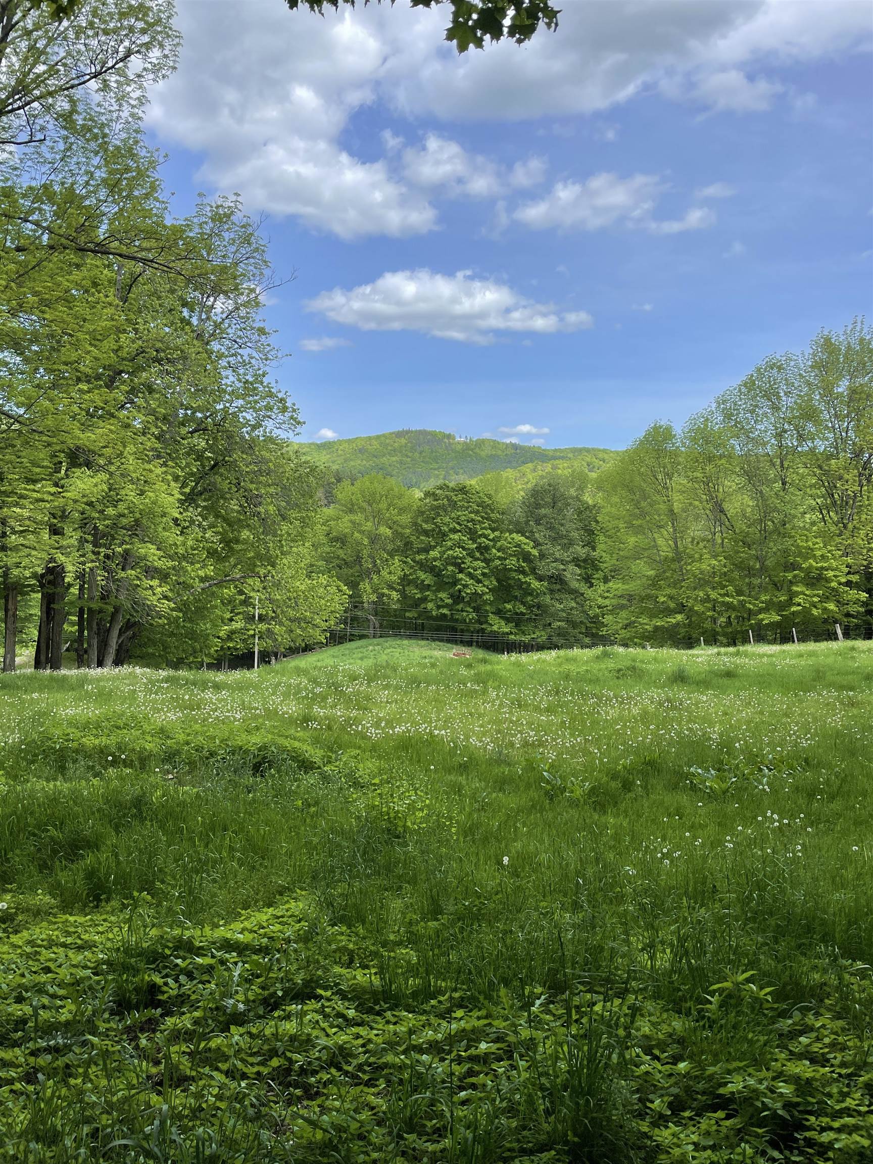 234 Randall Road Woodstock, VT 05091 - Photo 11 of 14