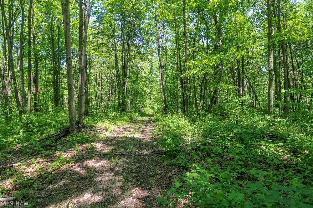 Hines Ridge Rd Port Port Washington, OH 43837 - Photo 16 of 35 Gallery Image 16