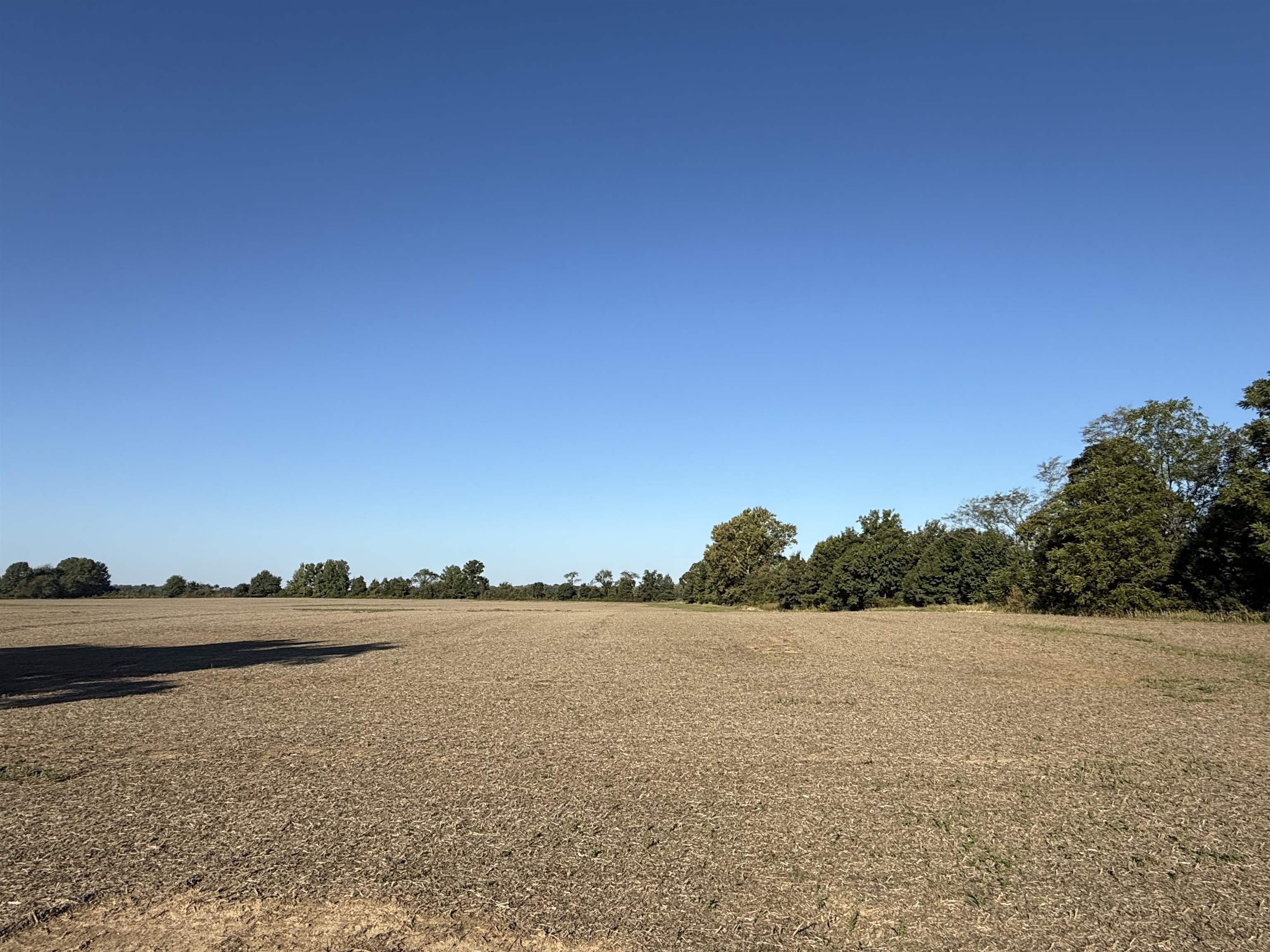 1 Karcher Road Somerville, TN 38068 - Photo 12 of 15 a view of lake and mountain