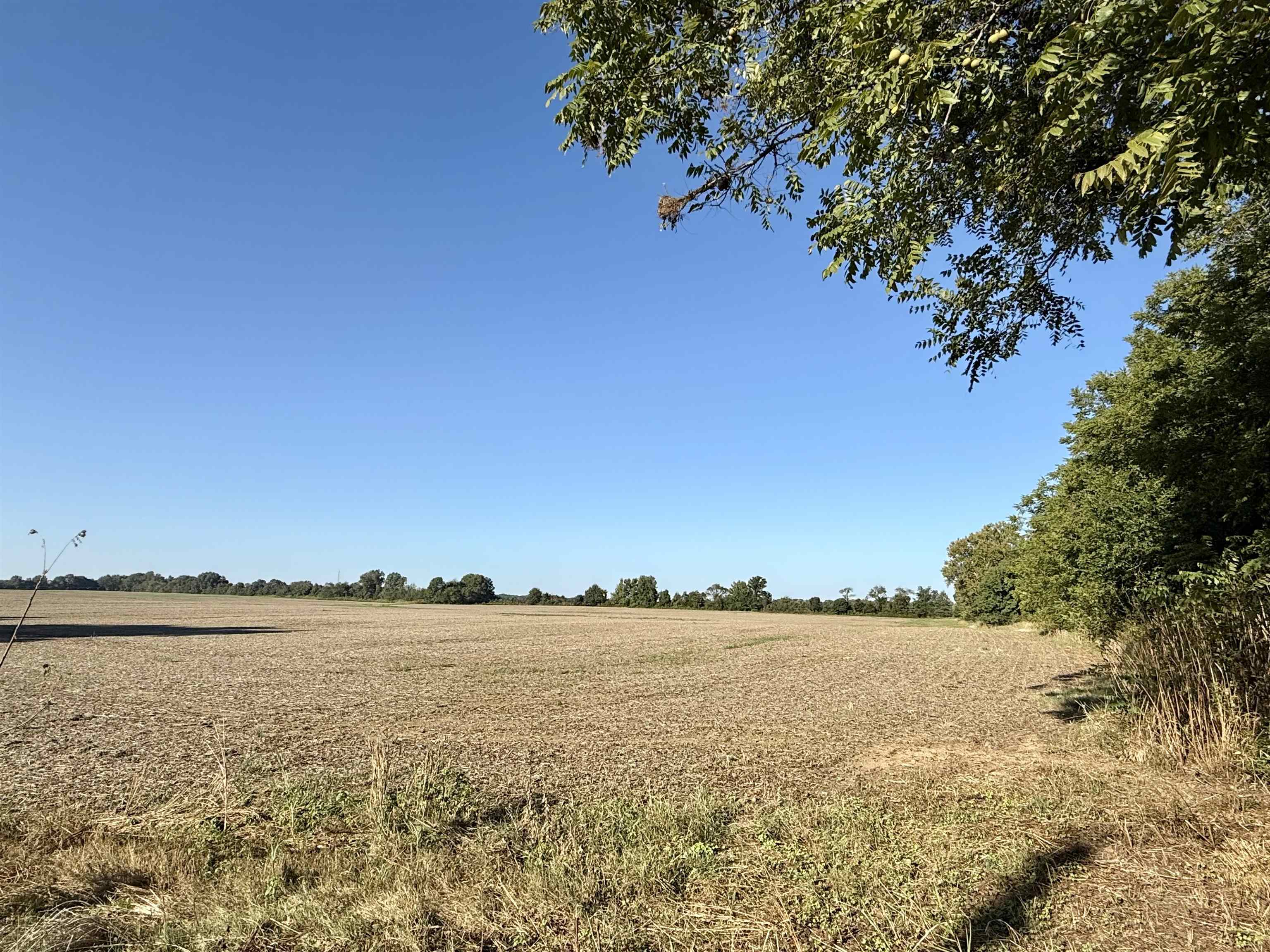 1 Karcher Road Somerville, TN 38068 - Photo 14 of 15 a view of an ocean view