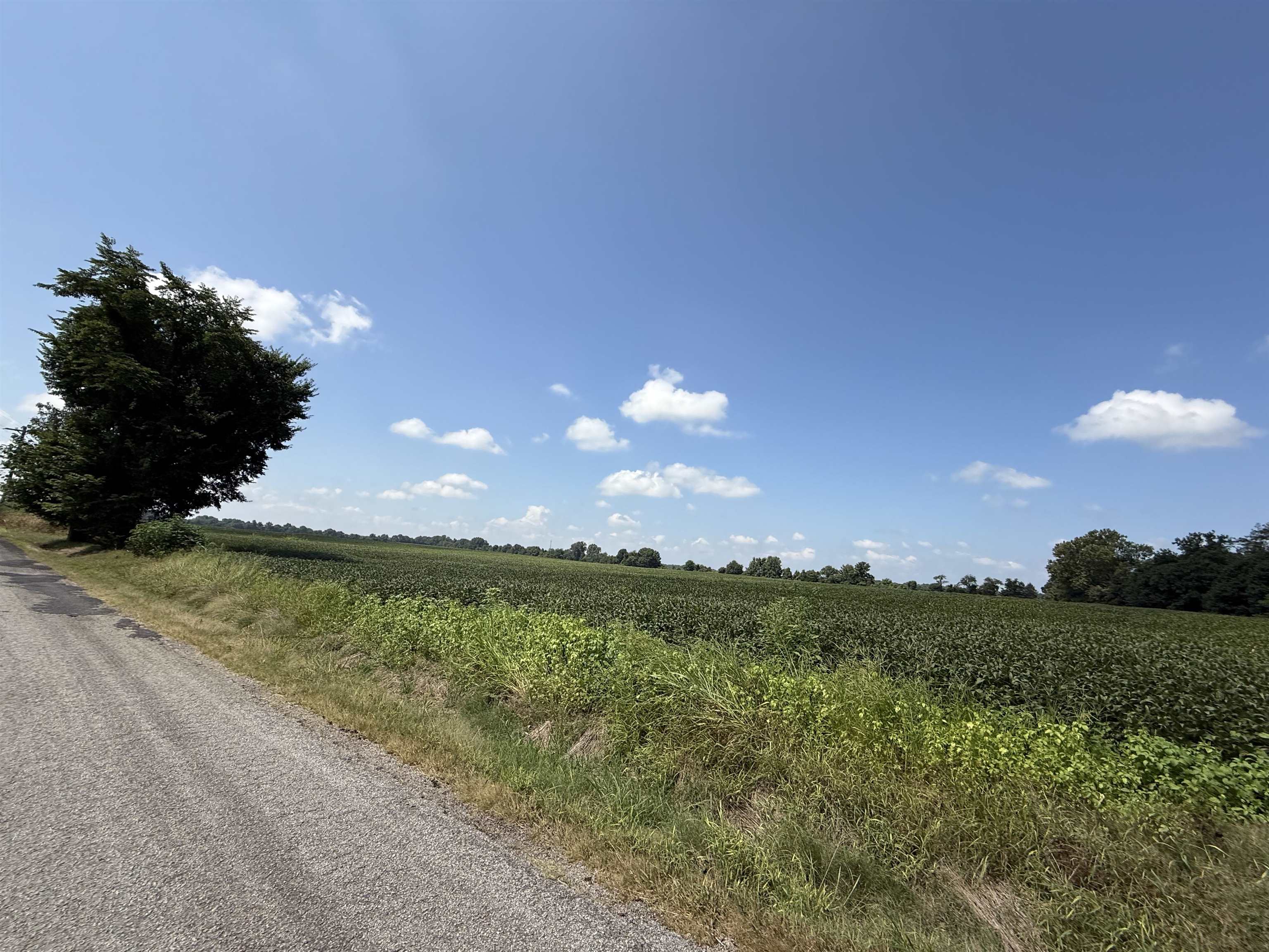 1 Karcher Road Somerville, TN 38068 - Photo 7 of 15