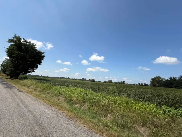a view of a field with an ocean