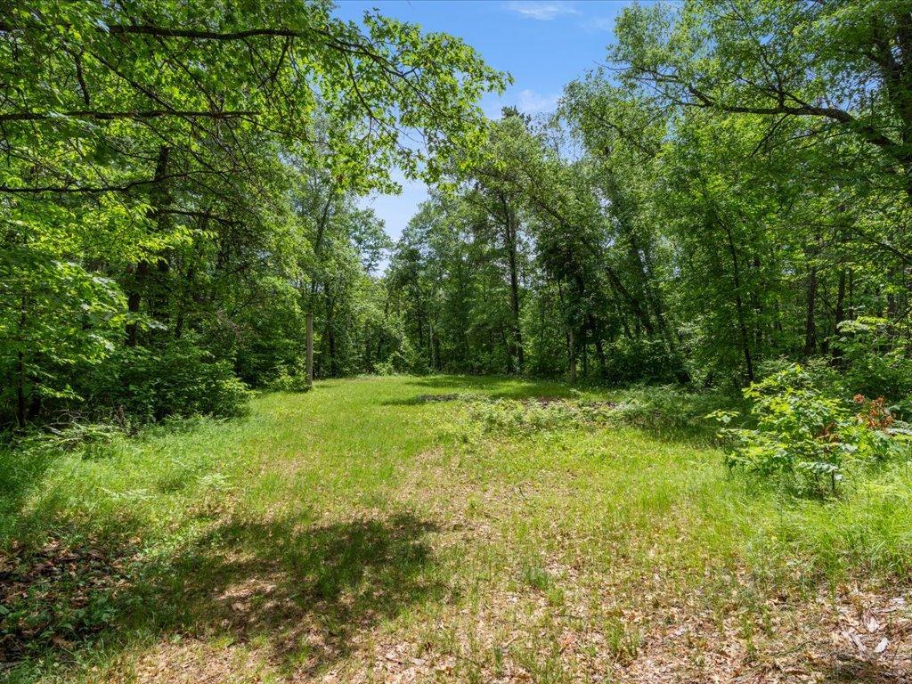 36003 Schaller Road Pequot Lakes, MN 56472 - Photo 10 of 18