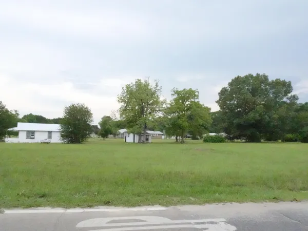 a view of a big yard with plants and large trees