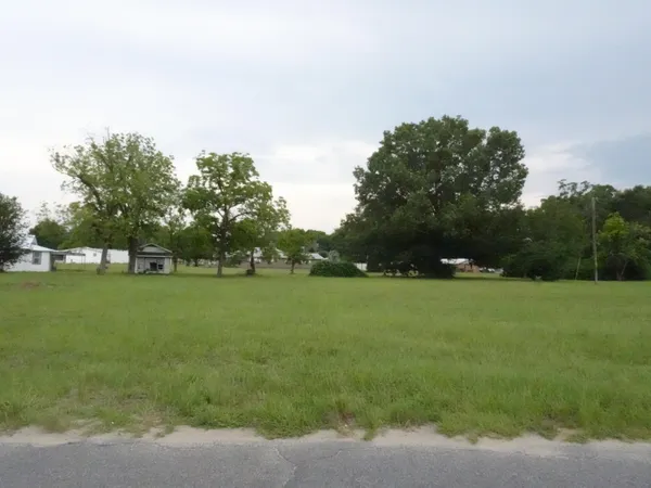 a huge green field with lots of trees in it