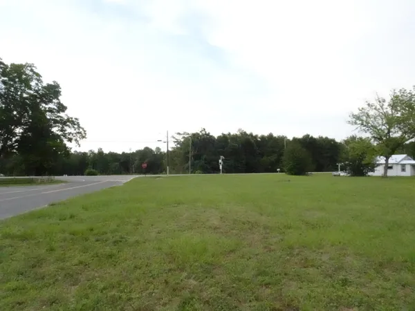 a view of field with tall trees