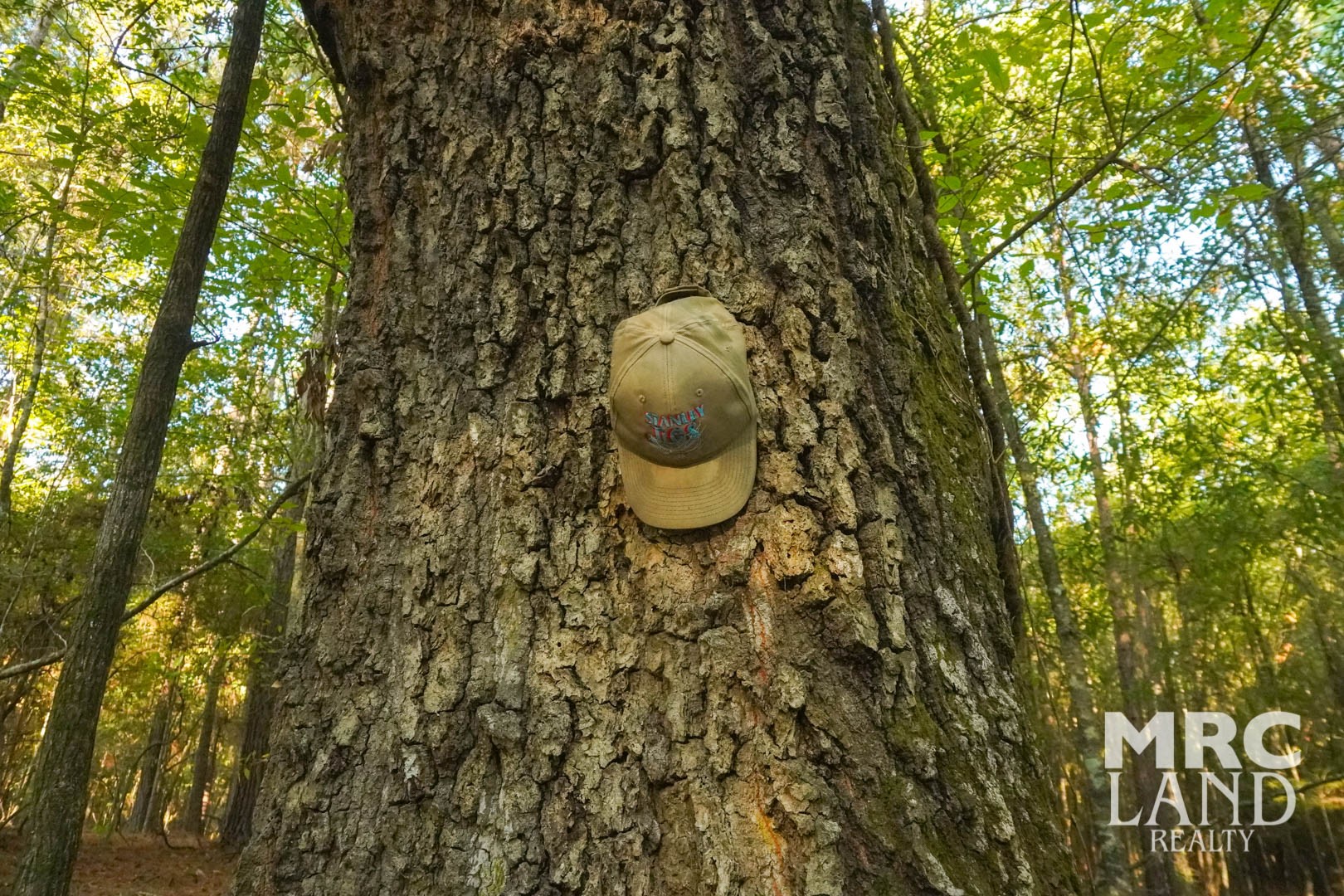 0 Crocker Road Milam, TX 75959 - Photo 22 of 27