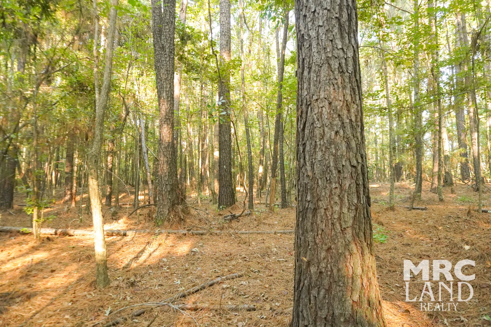 0 Crocker Road Milam, TX 75959 - Photo 24 of 27