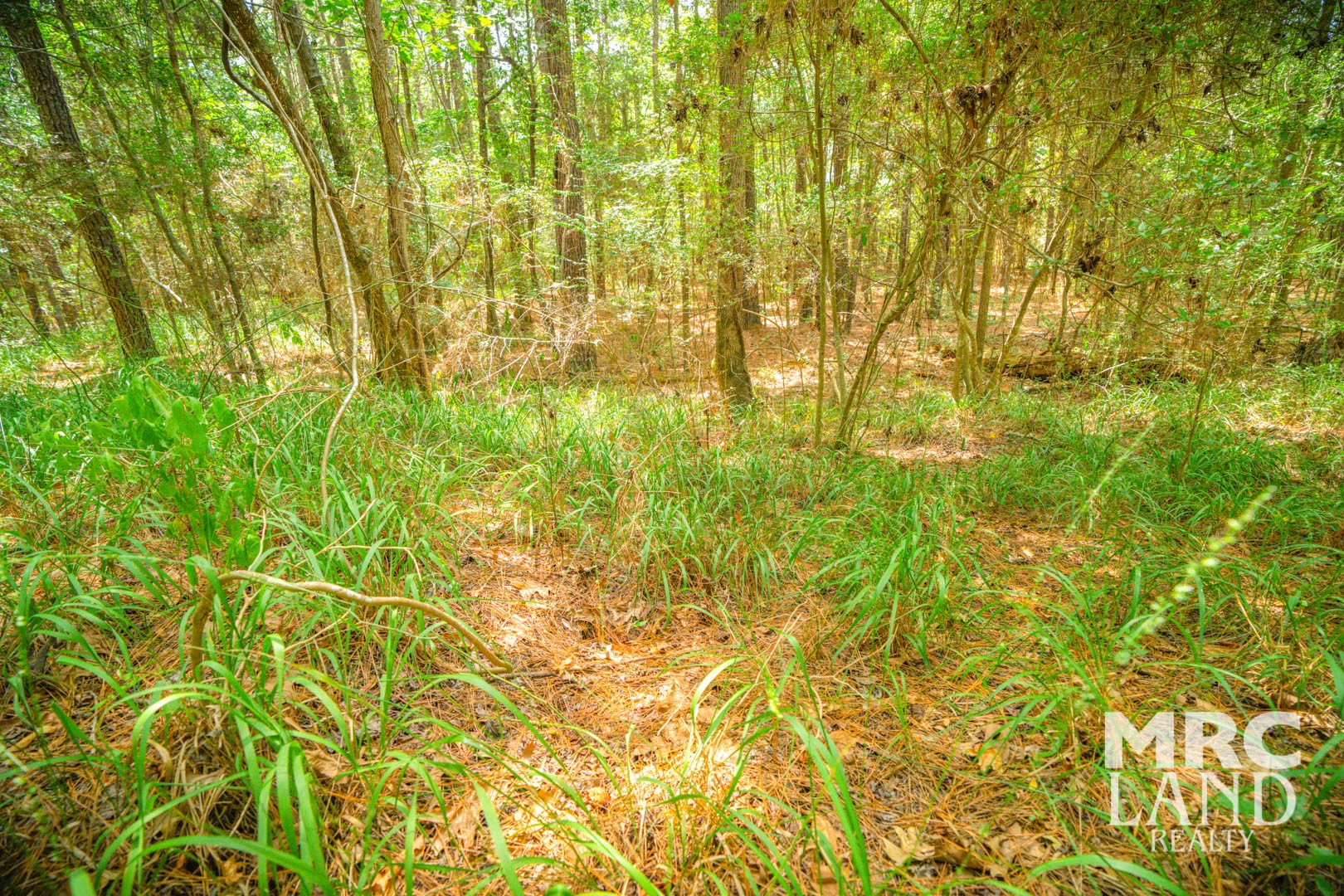 0 Crocker Road Milam, TX 75959 - Photo 26 of 27