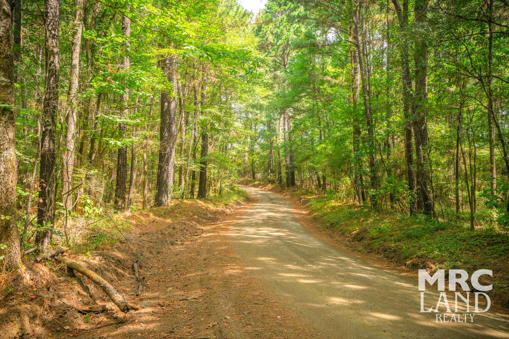 0 Crocker Road Milam, TX 75959 - Photo 4 of 27