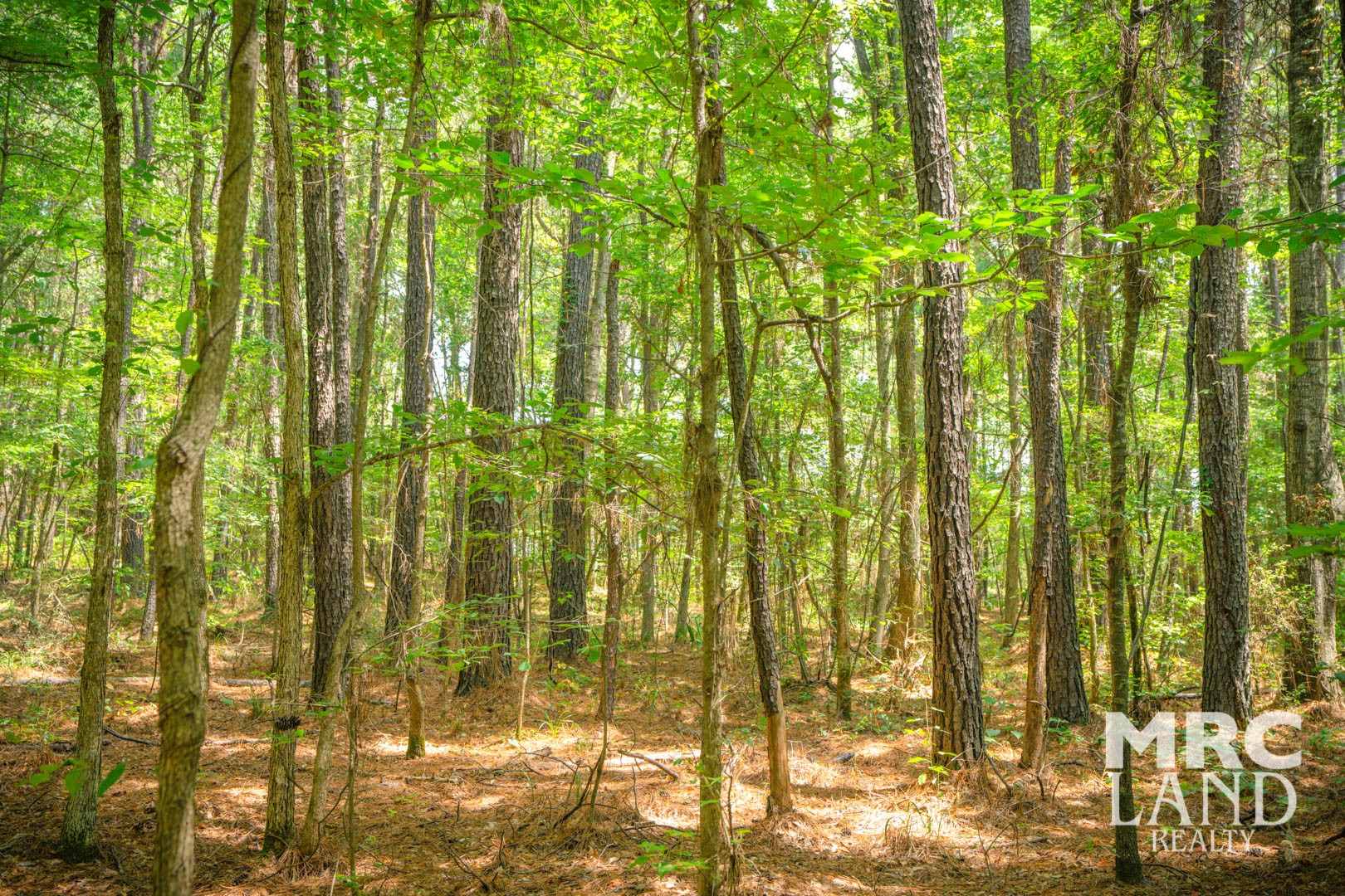 0 Crocker Road Milam, TX 75959 - Photo 5 of 27