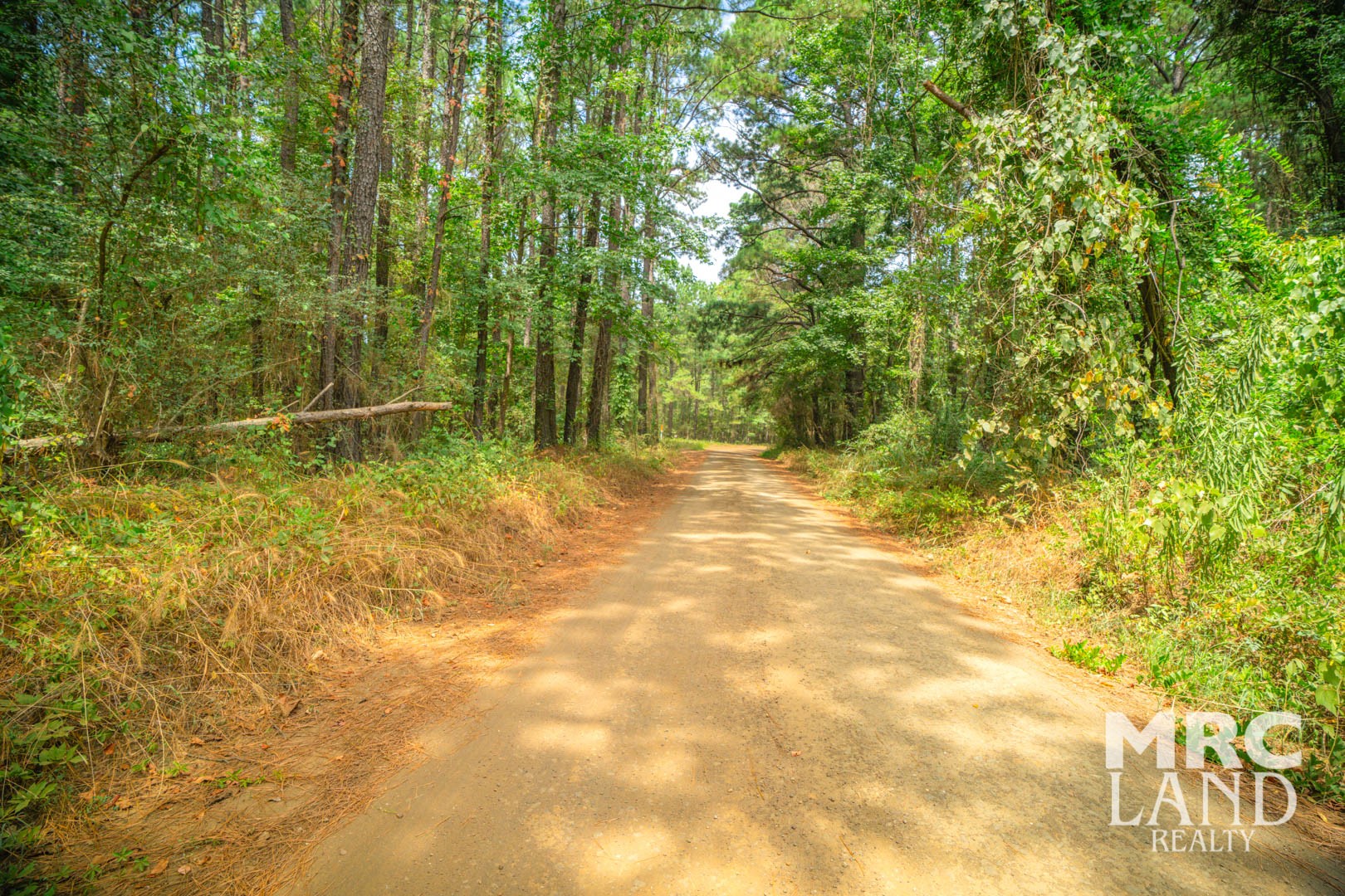 0 Crocker Road Milam, TX 75959 - Photo 9 of 27