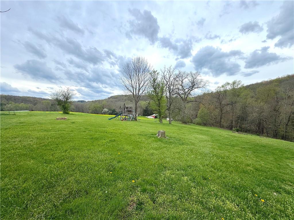 416 Pine Run Road Fombell, PA 16123 - Photo 45 of 50 a view of a park with large trees