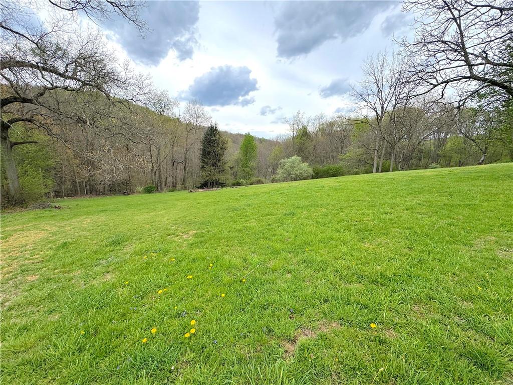 416 Pine Run Road Fombell, PA 16123 - Photo 46 of 50 a view of a grassy field with trees
