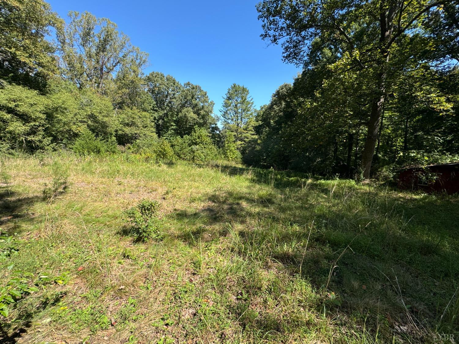 2637 Boxwood Farm Road Amherst, VA 24521 - Photo 10 of 10 a view of outdoor space and a yard