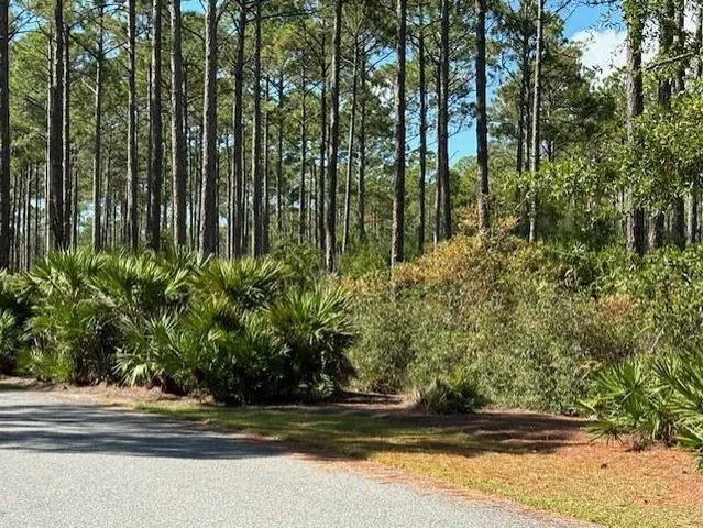 $72,000 | 102 Fishhook Way, Sopchoppy, FL 32358