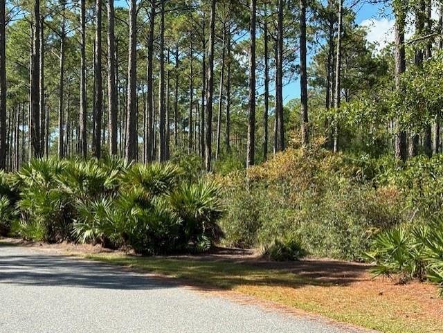 102 Fishhook Way Sopchoppy, FL 32358 - Photo 2 of 10