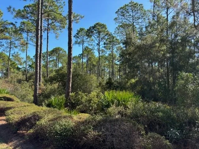 $72,000 | 102 Fishhook Way, Sopchoppy, FL 32358