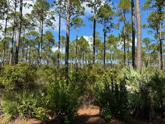 $72,000 | 102 Fishhook Way, Sopchoppy, FL 32358