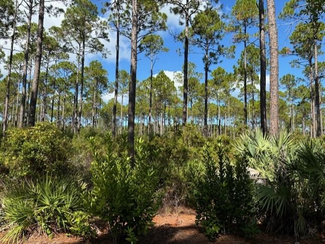 102 Fishhook Way Sopchoppy, FL 32358 - Photo 4 of 10