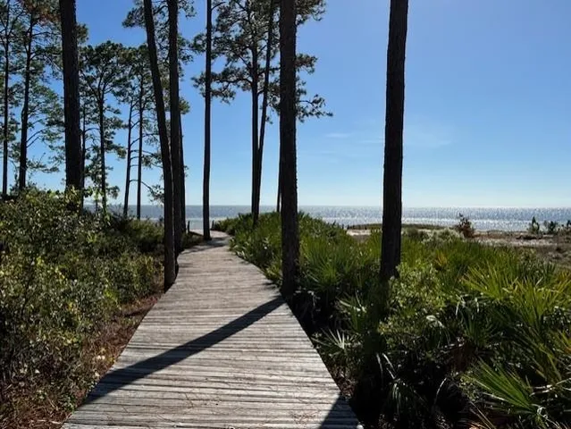 $72,000 | 102 Fishhook Way, Sopchoppy, FL 32358