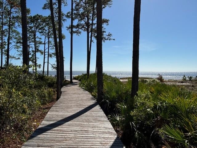 102 Fishhook Way Sopchoppy, FL 32358 - Photo 5 of 10