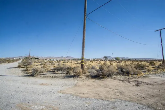 a view of a dry yard