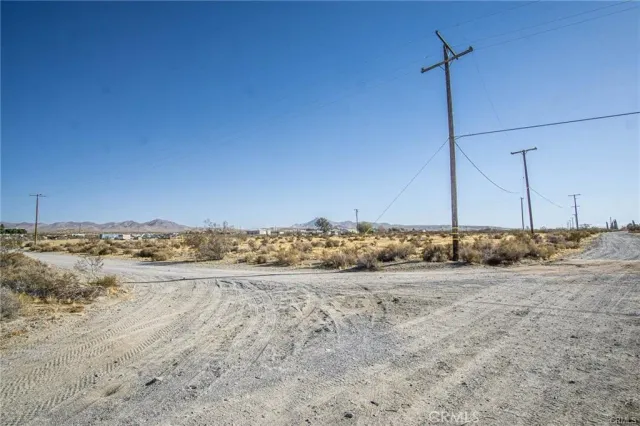 a view of a dry yard with wooden fence