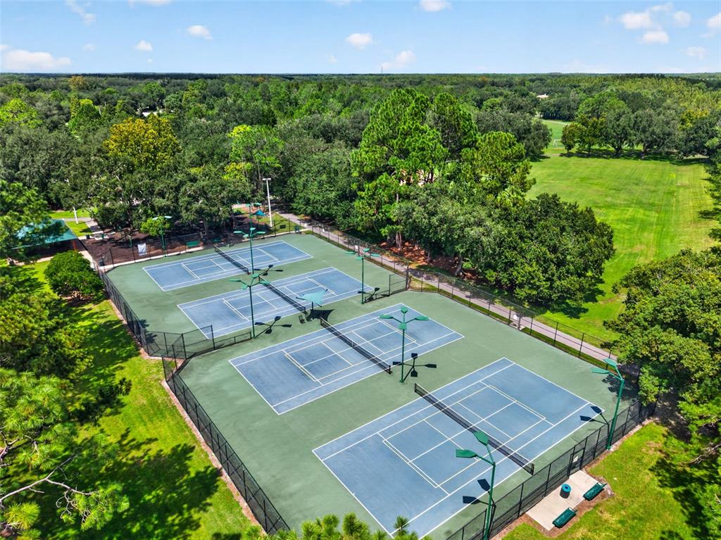 9136 Highland Ridge Way Tampa, FL 33647 - Photo 54 of 55 Gallery Image 54