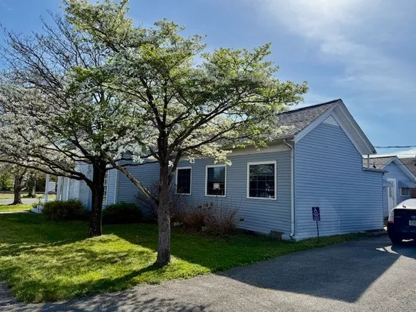 a view of a backyard with plants and large tree