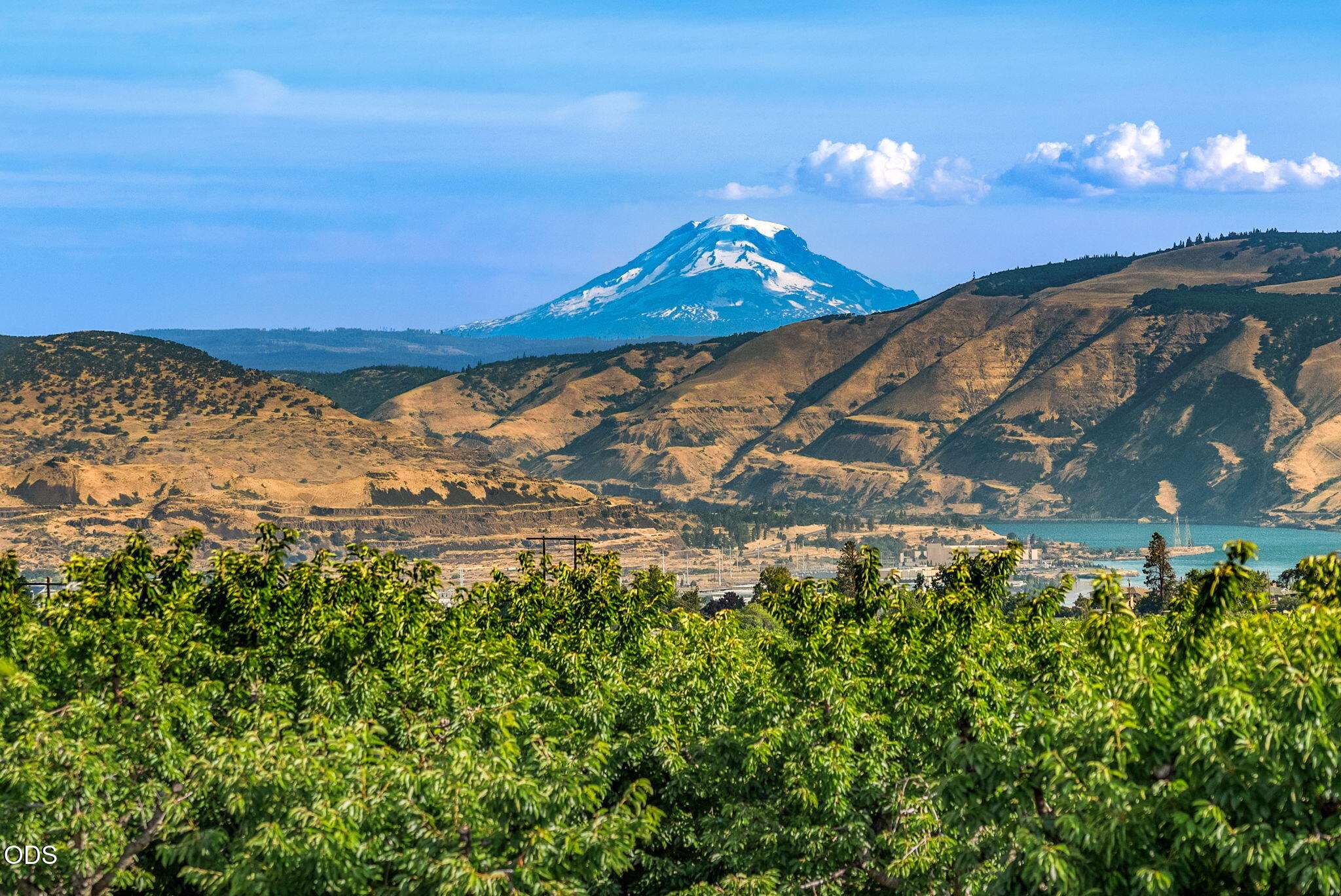 2551 3 Mile County Road The Dalles, OR 97058 - Photo 9 of 24 Gallery Image 9