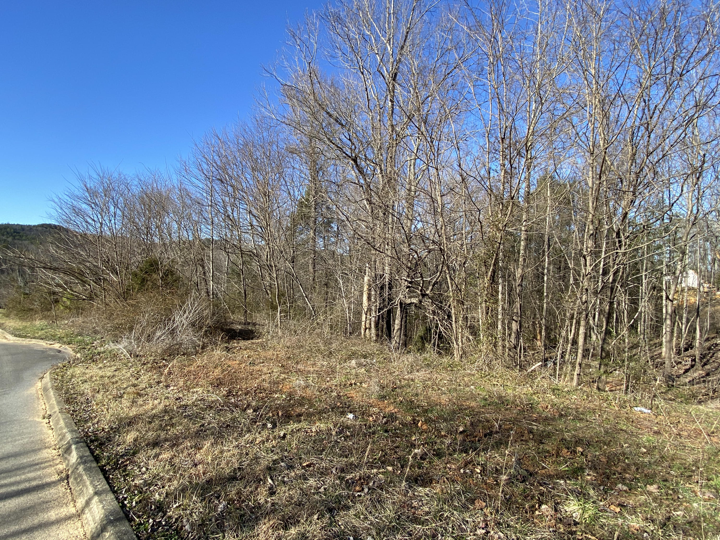 Thomas Headrick Road Sevierville, TN 37862 - Photo 3 of 5 IMG_9281